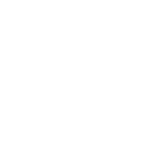 logo flickr